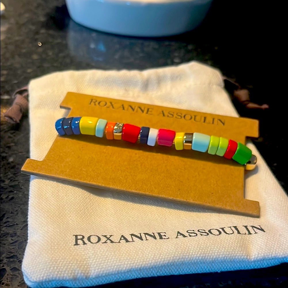 NWT Roxanne Assoulin Multi Color Tube Bracelet